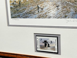 John P. Cowan - 1985 Texas Waterfowl Duck Stamp Print With Stamp - Brand New Custom Sporting Frame