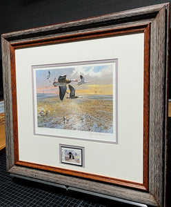 John P. Cowan - 1985 Texas Waterfowl Duck Stamp Print With Stamp - Brand New Custom Sporting Frame