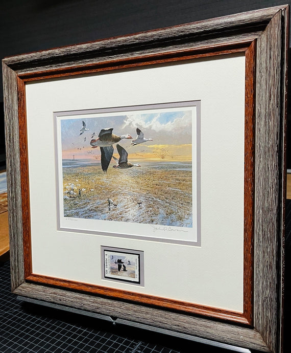 John P. Cowan 1985 Texas Waterfowl Duck Stamp Print With Stamp - Brand New Super Custom Sporting Frame  ***  SPRING SPECIAL  ***