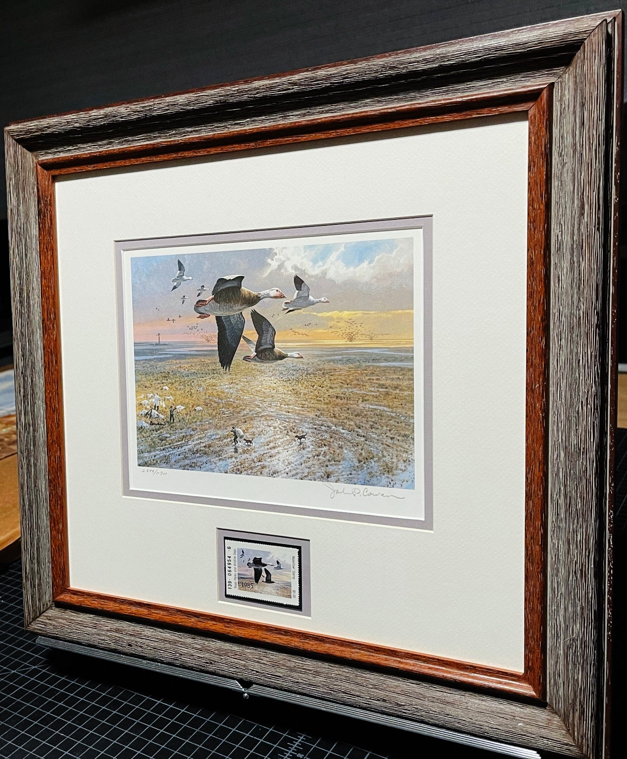 John P. Cowan - 1985 Texas Waterfowl Duck Stamp Print With Stamp - Brand New Custom Sporting Frame
