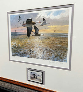 John P. Cowan - 1985 Texas Waterfowl Duck Stamp Print With Stamp - Brand New Custom Sporting Frame