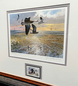 John P. Cowan 1985 Texas Waterfowl Duck Stamp Print With Stamp - Brand New Custom Sporting Frame  ***  SPRING SPECIAL  ***