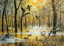 Load image into Gallery viewer, John P. Cowan 1986 Arkansas Duck Stamp Print With Double Stamps - Brand New Super Custom Sporting Frame