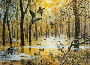 John P. Cowan 1986 Arkansas Duck Stamp Print With Double Stamps - Brand New Super Custom Sporting Frame