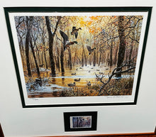 Load image into Gallery viewer, John P. Cowan 1986 Arkansas Duck Stamp Print With Stamp - Brand New Custom Sporting Frame