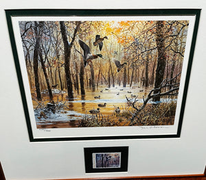 John P. Cowan 1986 Arkansas Duck Stamp Print With Stamp - Brand New Custom Sporting Frame