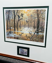 Load image into Gallery viewer, John P. Cowan 1986 Arkansas Duck Stamp Print With Stamp - Brand New Custom Sporting Frame