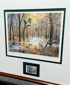 John P. Cowan 1986 Arkansas Duck Stamp Print With Stamp - Brand New Custom Sporting Frame