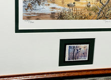 Load image into Gallery viewer, John P. Cowan 1986 Arkansas Duck Stamp Print With Stamp - Brand New Custom Sporting Frame