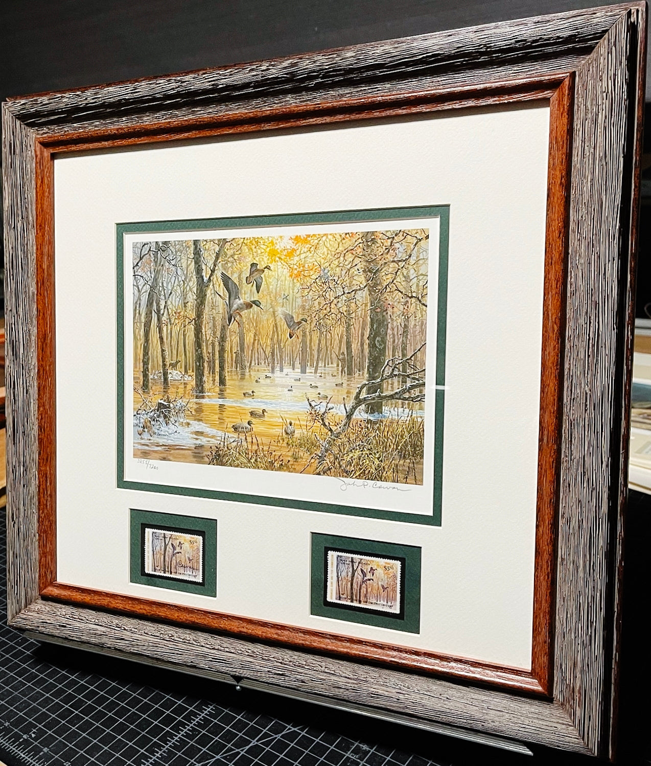 John P. Cowan 1986 Arkansas Duck Stamp Print With Double Stamps - Brand New Super Custom Sporting Frame