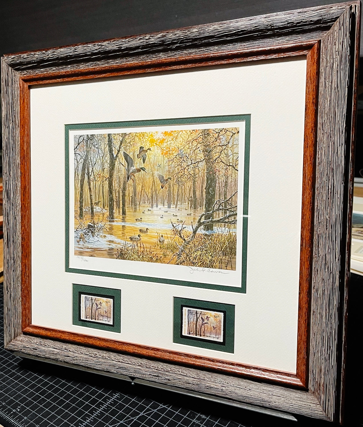 John P. Cowan 1986 Arkansas Duck Stamp Print With Double Stamps - Brand New Custom Sporting Frame