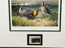 Load image into Gallery viewer, John P. Cowan 1986 Texas Non-Game Stamp Print With Stamp - Brand New Custom Sporting Frame