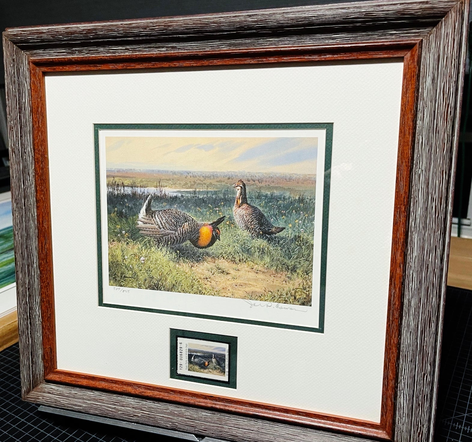 John P. Cowan 1986 Texas Non-Game Stamp Print With Stamp - Brand New Super Custom Sporting Frame