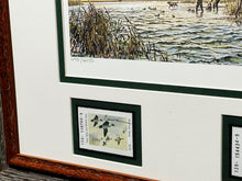 Load image into Gallery viewer, John P. Cowan - 1988 Texas Waterfowl Stamp Print With Double Stamps - Brand New Custom Sporting Frame