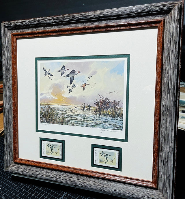 John P. Cowan 1988 Texas Waterfowl Duck Stamp Print With Double Stamps - Brand New Super Custom Sporting Frame