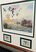 Load image into Gallery viewer, John P. Cowan 1988 Texas Waterfowl Stamp Print With Double Stamps - Brand New Custom Sporting Frame