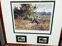 Load image into Gallery viewer, John P. Cowan 1988 Texas Wild Turkey Stamp Print With Double Stamps - Brand New Super Custom Sporting Frame