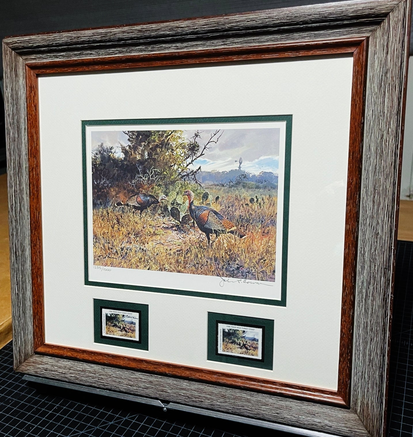 John P. Cowan 1988 Texas Wild Turkey Stamp Print With Double Stamps - Brand New Super Custom Sporting Frame