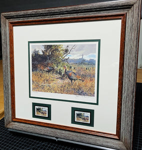 John P. Cowan 1988 Texas Wild Turkey Stamp Print With Double Stamps - Brand New Super Custom Sporting Frame