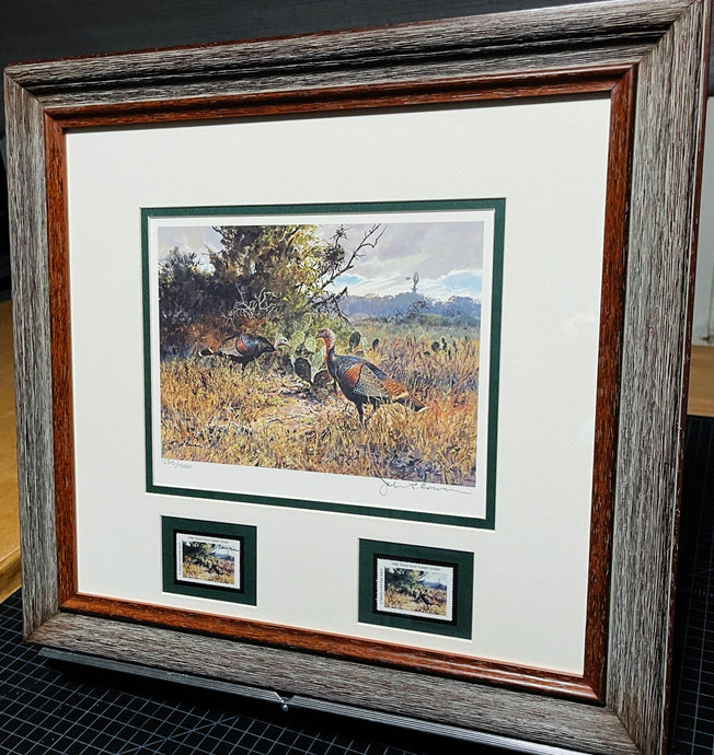 John P. Cowan 1988 Texas Wild Turkey Stamp Print With Double Stamps - Brand New Super Custom Sporting Frame