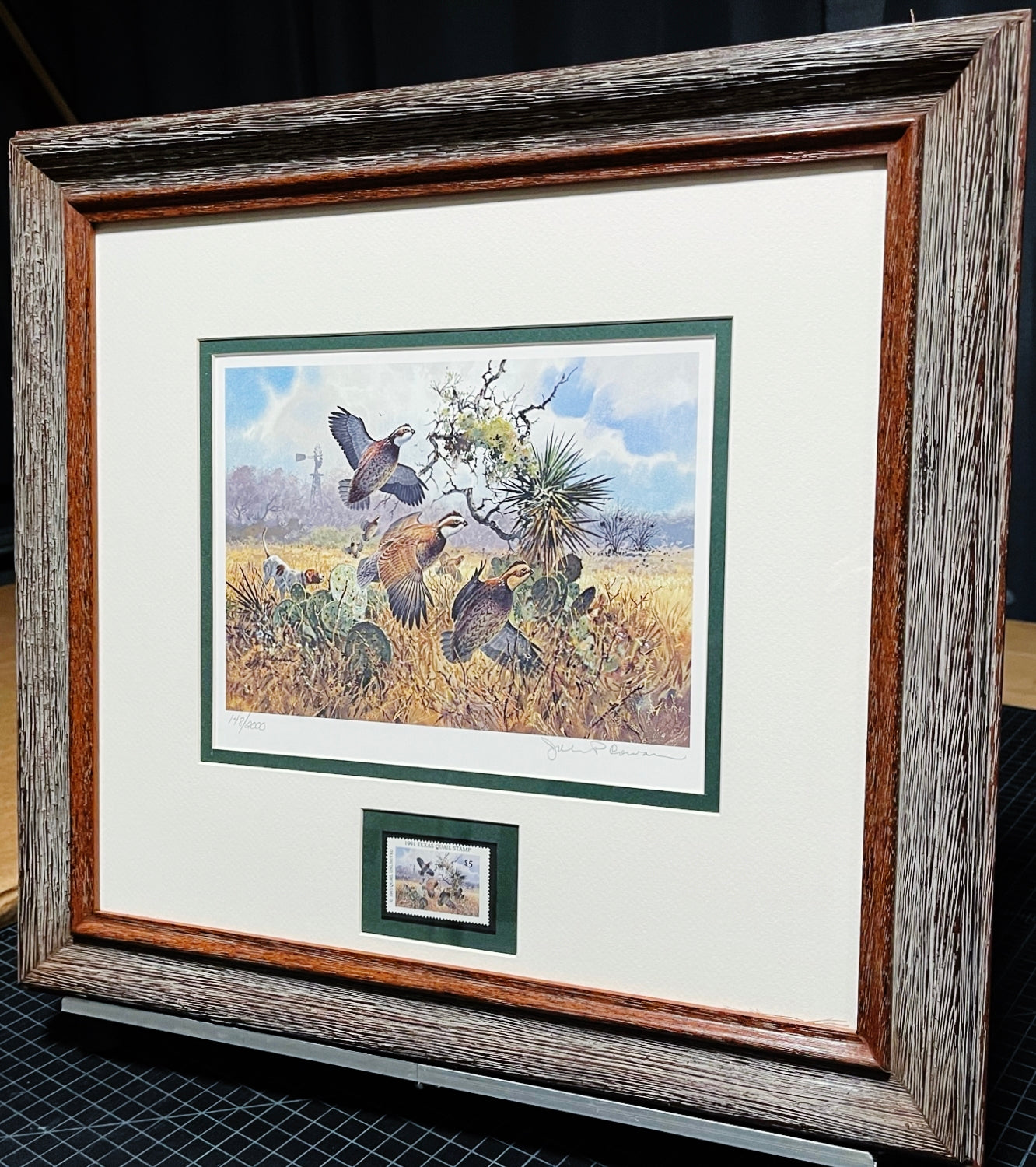 John P. Cowan 1991 Texas Quail Stamp Print With Stamp - Brand New Super Custom Sporting Frame