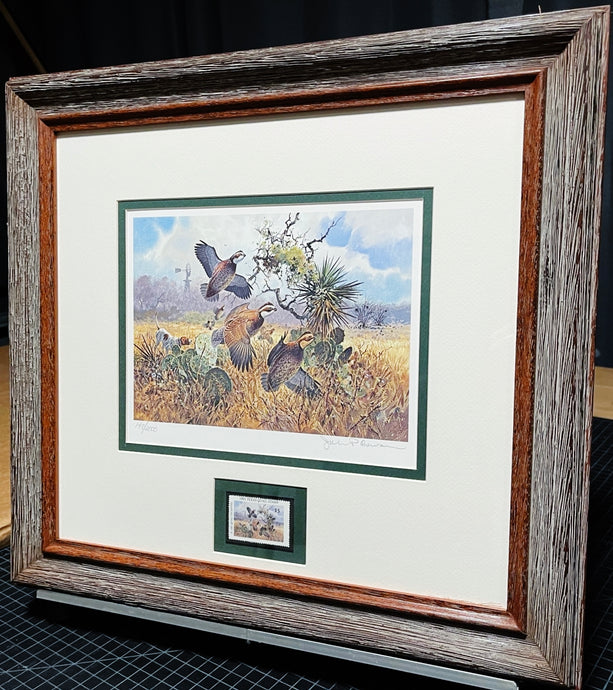 John P. Cowan 1991 Texas Quail Stamp Print With Stamp - Brand New Super Custom Sporting Frame