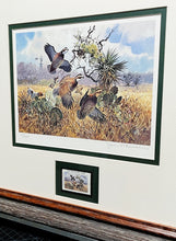 Load image into Gallery viewer, John P. Cowan 1991 Texas Quail Stamp Print With Stamp - Brand New Super Custom Sporting Frame