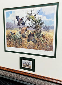 John P. Cowan 1991 Texas Quail Stamp Print With Stamp - Brand New Super Custom Sporting Frame