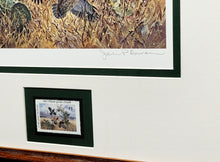 Load image into Gallery viewer, John P. Cowan 1991 Texas Quail Stamp Print With Stamp - Brand New Super Custom Sporting Frame