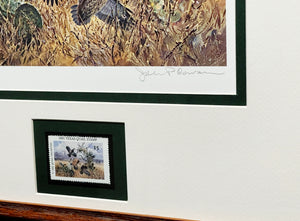 John P. Cowan 1991 Texas Quail Stamp Print With Stamp - Brand New Super Custom Sporting Frame