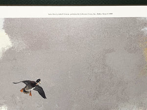 John P. Cowan Judas Hen Lithograph Artist Proof Year 1999 - Brand New Super Custom Sporting Frame