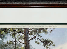 Load image into Gallery viewer, John P. Cowan Pine And Palmetto Lithograph Year 1979 - Brand New Custom Sporting Frame