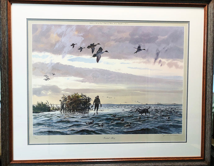 John P. Cowan Pintail Alley Lithograph Year 1987 - Brand New Super Custom Sporting Frame
