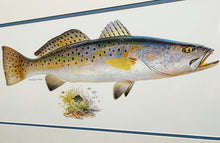 Load image into Gallery viewer, John P. Cowan - Speckled Trout - Texas Treasure Poster Art - Lithograph Quality - Brand New Custom Sporting Frame