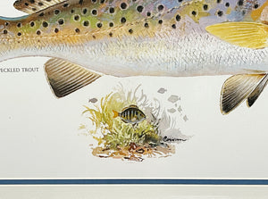 John P. Cowan - Speckled Trout - Texas Treasure Poster Art - Lithograph Quality - Brand New Custom Sporting Frame