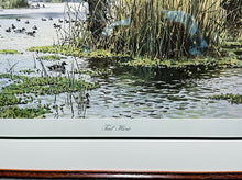 Load image into Gallery viewer, John P. Cowan Teal Hunt Lithograph Year 1976 - Brand New Super Custom Sporting Frame