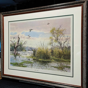 John P. Cowan Teal Hunt Lithograph Year 1976 - Brand New Super Custom Sporting Frame