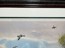 Load image into Gallery viewer, John P. Cowan Teal Hunt Lithograph Year 1976 - Brand New Super Custom Sporting Frame