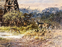 Load image into Gallery viewer, John P. Cowan - Windmill Whitetails - Lithograph 1988 - Brand New Custom Sporting Frame
