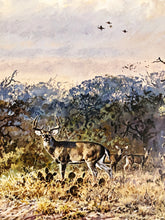 Load image into Gallery viewer, John P. Cowan - Windmill Whitetails - Lithograph 1988 - Brand New Custom Sporting Frame
