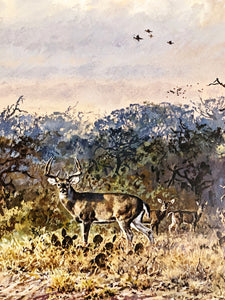 John P. Cowan - Windmill Whitetails - Lithograph 1988 - Brand New Custom Sporting Frame