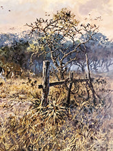 Load image into Gallery viewer, John P. Cowan - Windmill Whitetails - Lithograph 1988 - Brand New Custom Sporting Frame