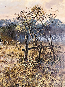 John P. Cowan - Windmill Whitetails - Lithograph 1988 - Brand New Custom Sporting Frame