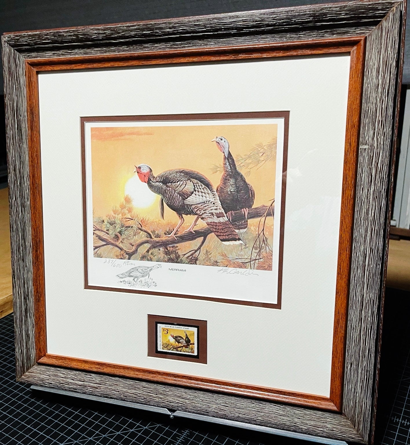 Ken Carlson 1979 National Wild Turkey Federation Stamp Print With Stamp And Remarque - Brand New Custom Sporting Frame