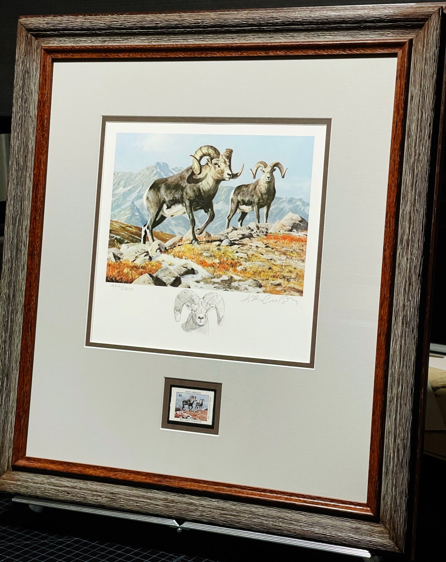 Ken Carlson 1982 North American Wild Sheep Federation Stamp Print With Stamp - Ram Remarque - Brand New Custom Sporting Frame