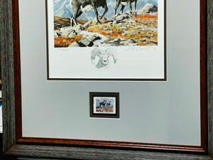 Ken Carlson - 1982 North American Wild Sheep Federation Stamp Print With Stamp - Ram Remarque - Brand New Custom Sporting Frame
