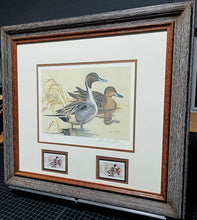 Load image into Gallery viewer, Ken Carlson - 1982 Texas Waterfowl Duck Stamp Print With Double Stamps - Brand New Custom Sporting Frame