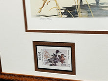 Load image into Gallery viewer, Ken Carlson - 1982 Texas Waterfowl Duck Stamp Print With Double Stamps - Brand New Custom Sporting Frame