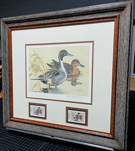 Ken Carlson - 1982 Texas Waterfowl Duck Stamp Print With Double Stamps - Brand New Custom Sporting Frame