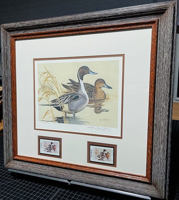 Ken Carlson 1982 Texas Waterfowl Duck Stamp Print With Double Stamps - Brand New Super Custom Sporting Frame